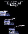 Toro, E., A. Herrel, B. Vanhooydonck and D.J. Irschick (2003) A biomechanical analysis of intra- and interspecific scaling of jumping biomechanics and morphology in Caribbean Anolis lizards. J. Exp. Biol. 206: 2641-2652