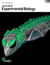 K�ver, L., D. Olivier, A. Marghoub, S.E. Evans, M.K. Vickaryous, M. Moazen and A. Herrel (2022) Biomechanical behavior of lizard osteoderms and skin under external loading. 

J. Exp. Biol. 225: jeb244551.